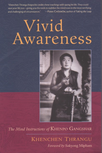 (image for) Vivid Awareness: Mind Instructions of Khenpo Gangshar (PDF)